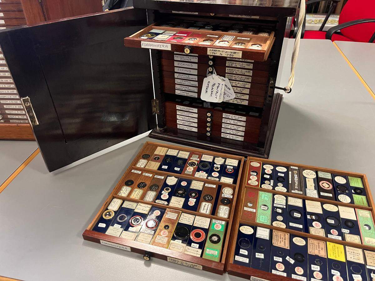 Some of the uncatalogued microscope slides at the Leeds Discovery Centre.