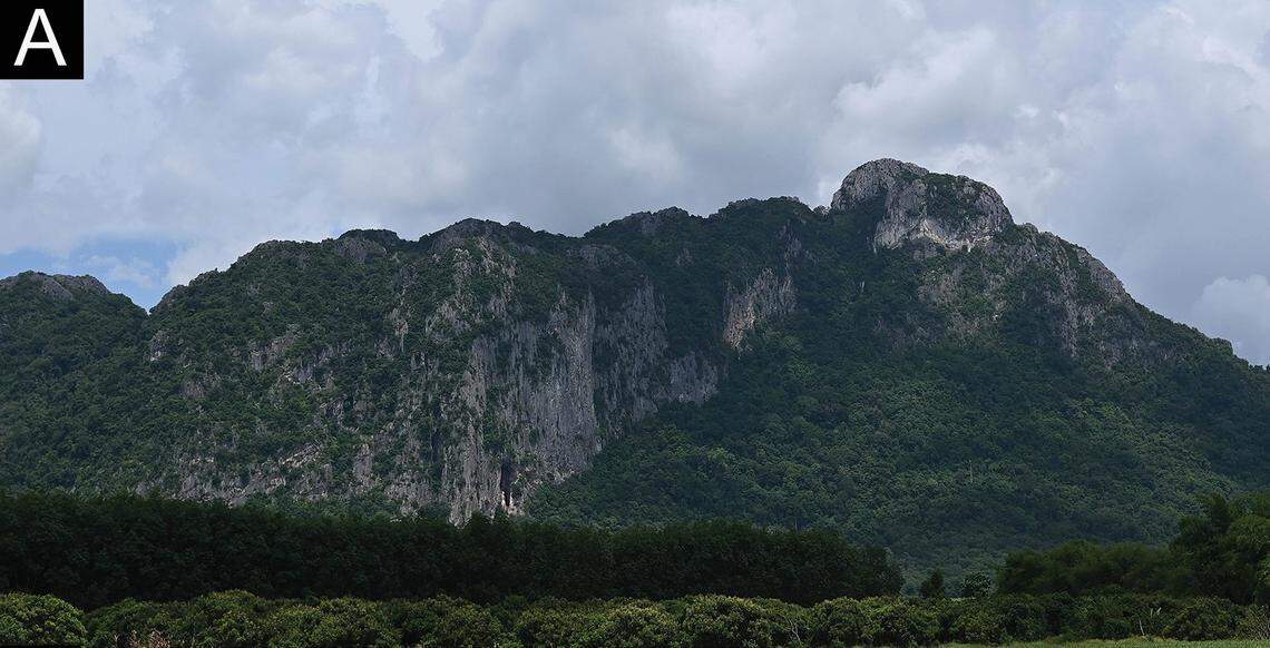 The habitat of Cyrtodactylus khlonghatensis, or the Khlong Hat bent-toed gecko.