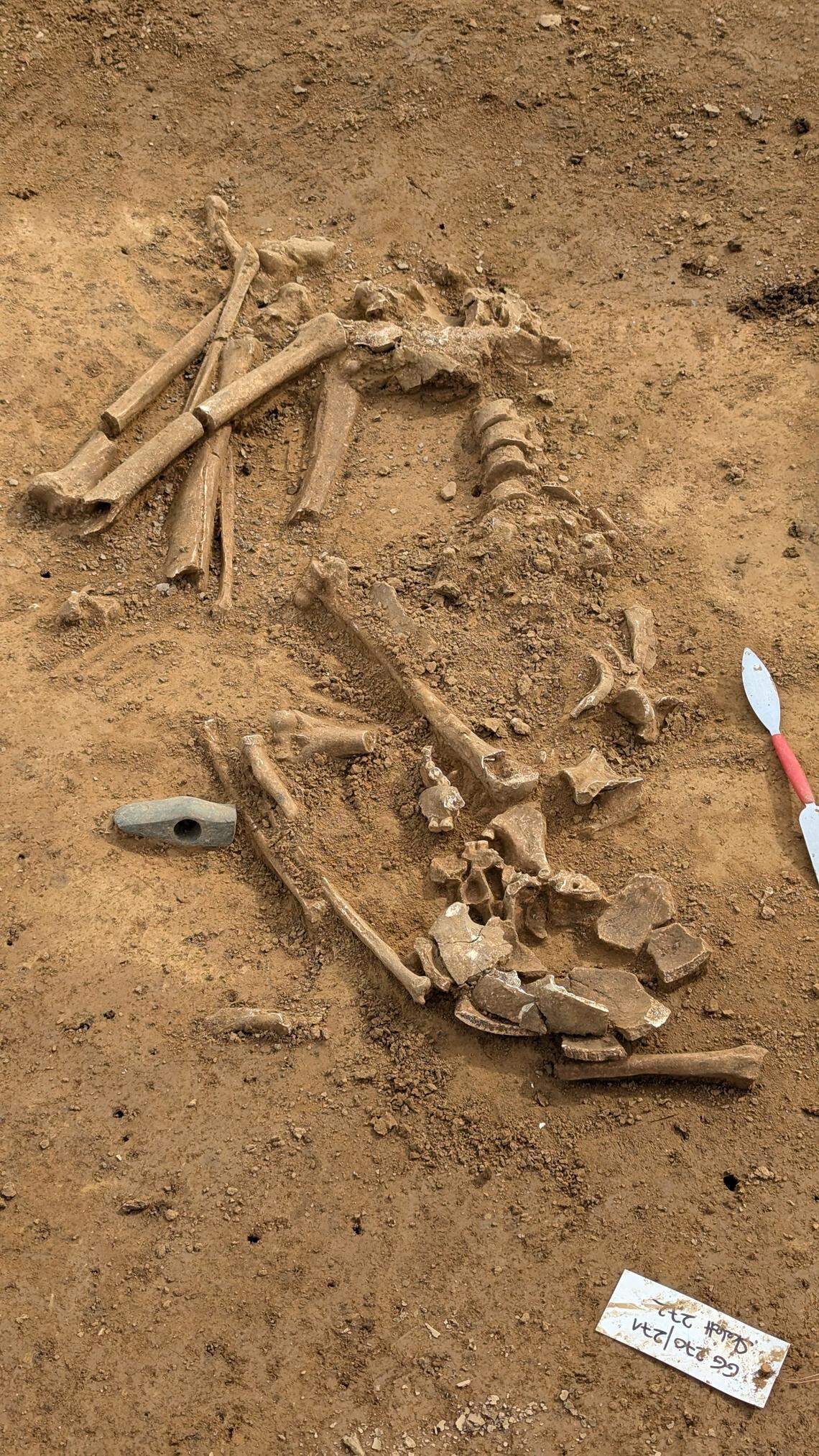 Archaeologists discovered the 5,000-year-old remains of a man buried with a polished stone axe at the site, officials said.