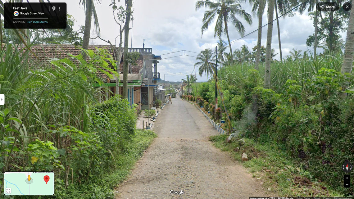 Scientists found a “bent-toed” creature with “large” eyes lurking around a village in Indonesia and discovered a new species, a study said.