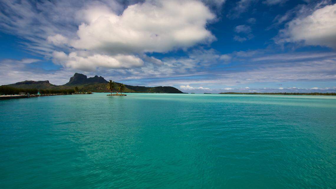 Scientists found “massive” plant-covered sea animals at South Pacific reef and discovered a new species, a study said. Photo shows a representative island in French Polynesia.
