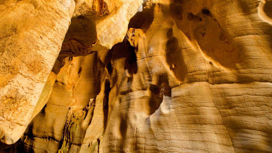 One of three new millipede species recently described from Cambodia was discovered in Phnom Chhngok Cave Temple, according to a study.