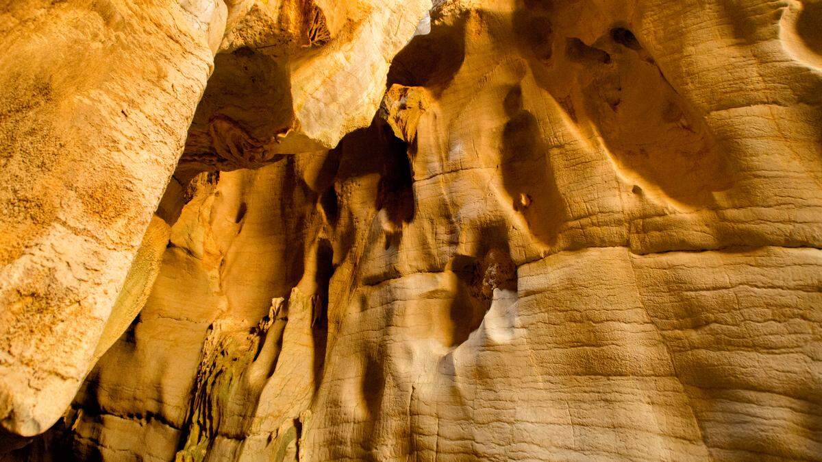 One of three new millipede species recently described from Cambodia was discovered in Phnom Chhngok Cave Temple, according to a study.