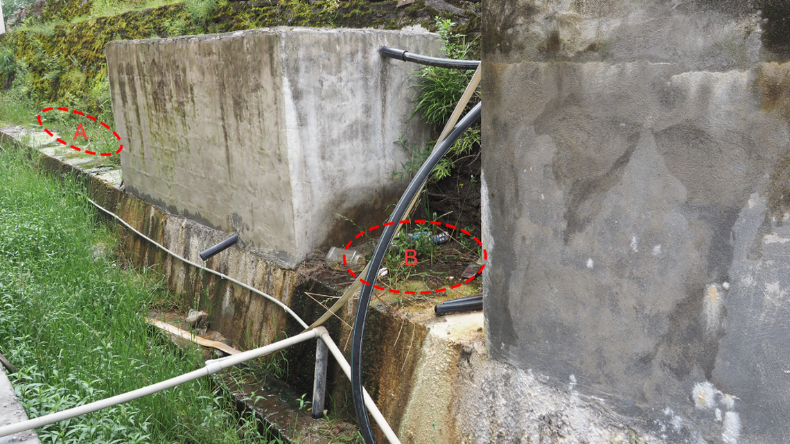 The Binchuan horned frog was found in a mountaintop village in China living near an artificial reservoir, according to a study.