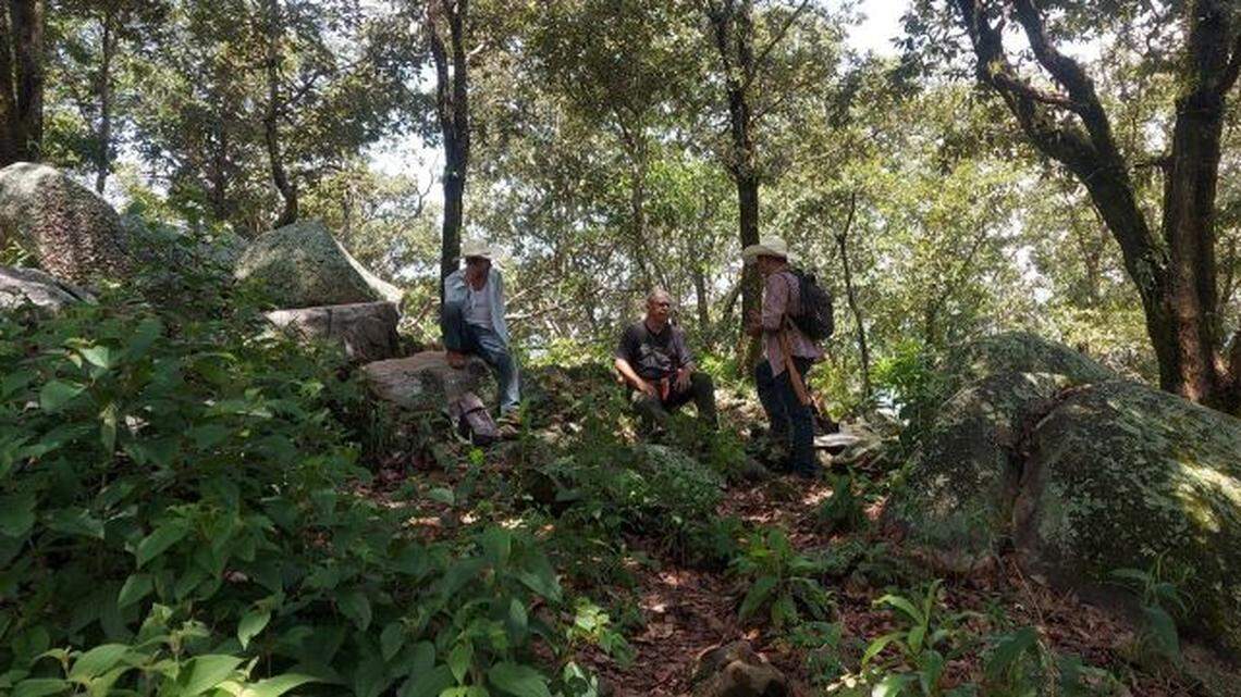 Archaeologists surveyed some abandoned hilltop ruins in Guerrero for the first time and identified a 1,200-year-old city, photos show.