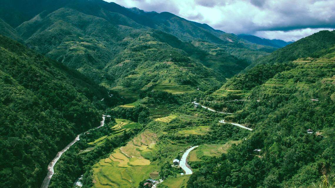 In the highlands of Luzon in the Philippines, a new species was discovered by a surgeon on a trip, researchers said.