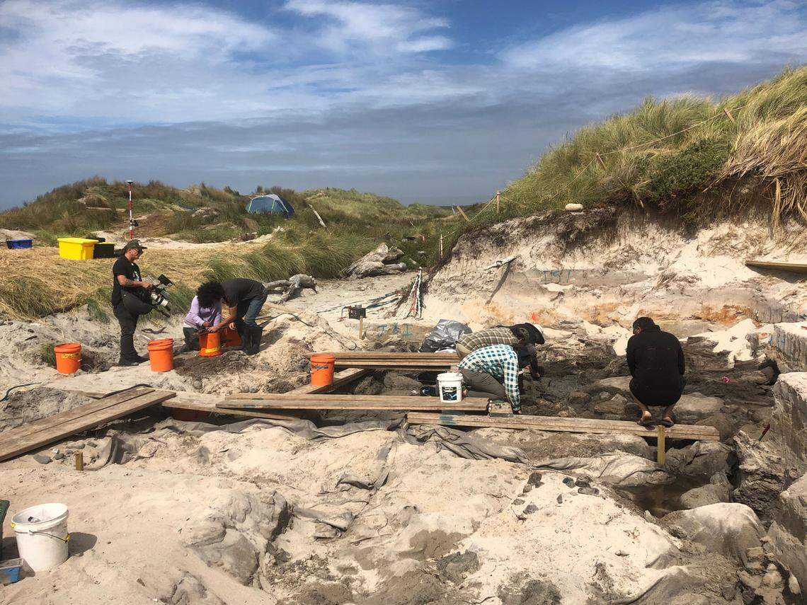 An excavation in New Zealand, prompted by the finds of a dad and son, uncovered wood fragments, rope and sail fabric of a historic canoe.