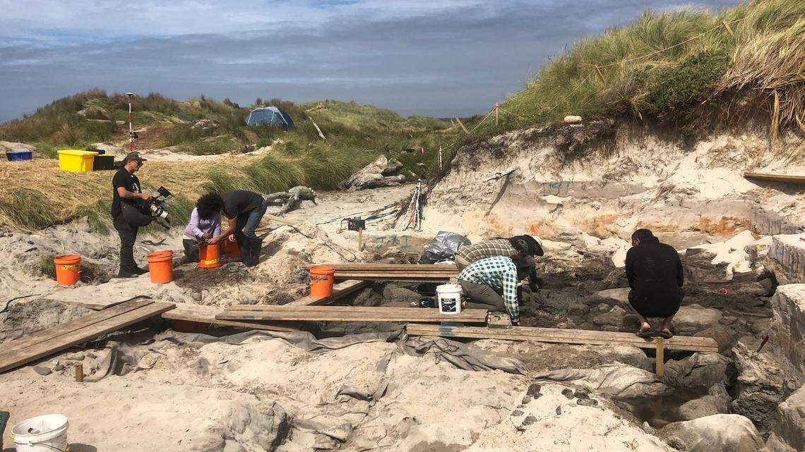An excavation in New Zealand, prompted by the finds of a dad and son, uncovered wood fragments, rope and sail fabric of a historic canoe.