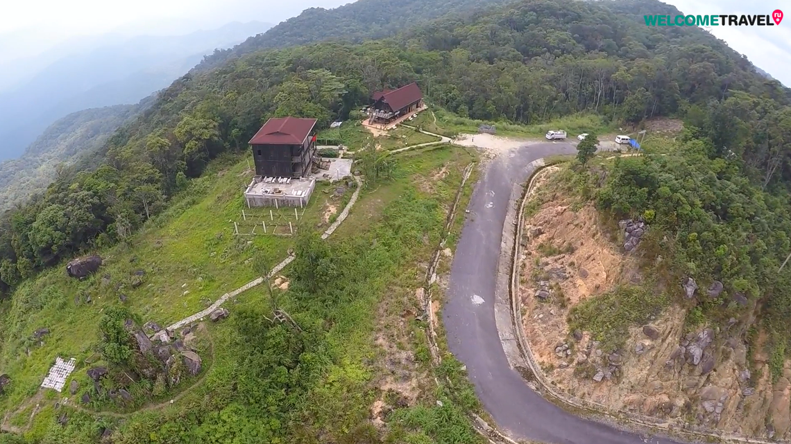 Scientists found a black-eyed creature under some debris on a mountaintop in Vietnam and discovered a new species, a study said.