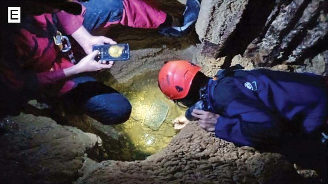 Scientists found an aquatic creature with skin instead of eyes in a cave of Indonesia and discovered a new species, a study said.