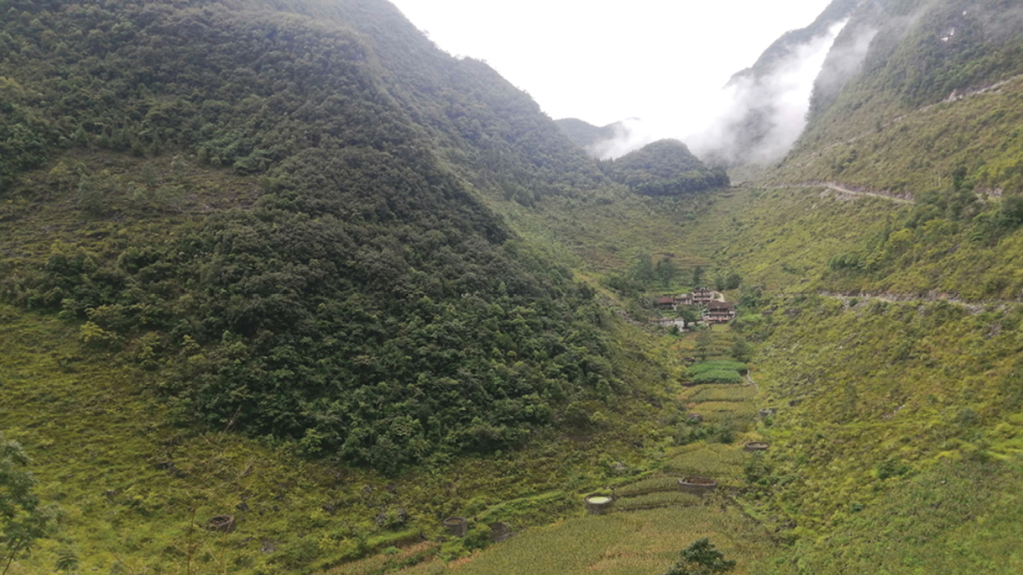 The new gecko species is described as being long and slender and of “moderate” size just under 3 inches long, according to a study.