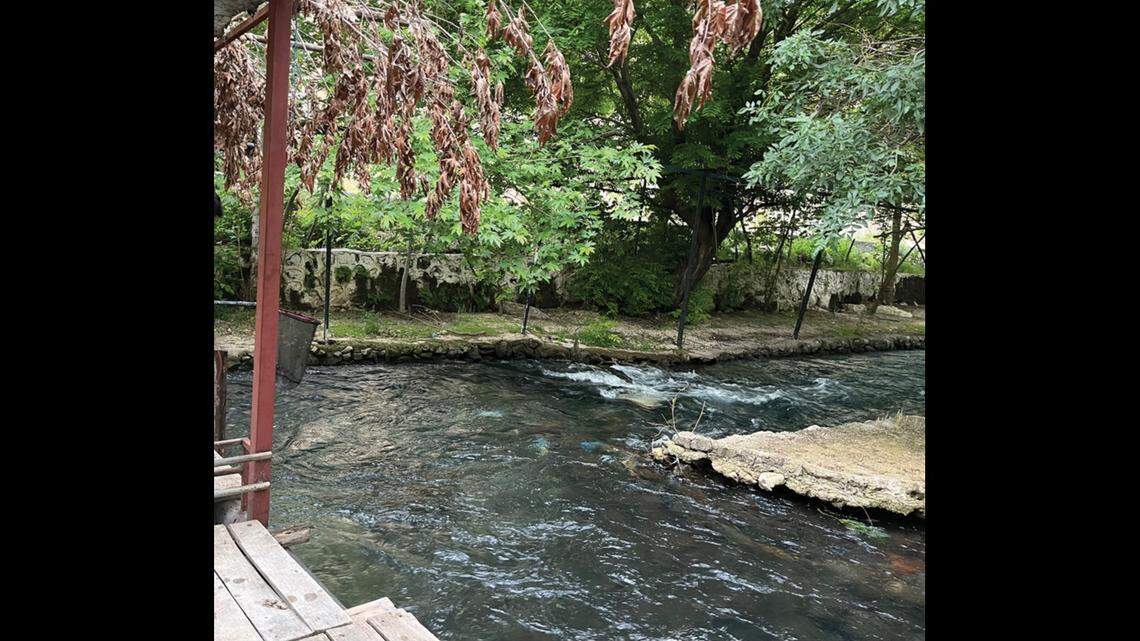 Scientists found a “slender” animal with a “blunt” snout living in a river in Turkey and discovered a new species, a study said.