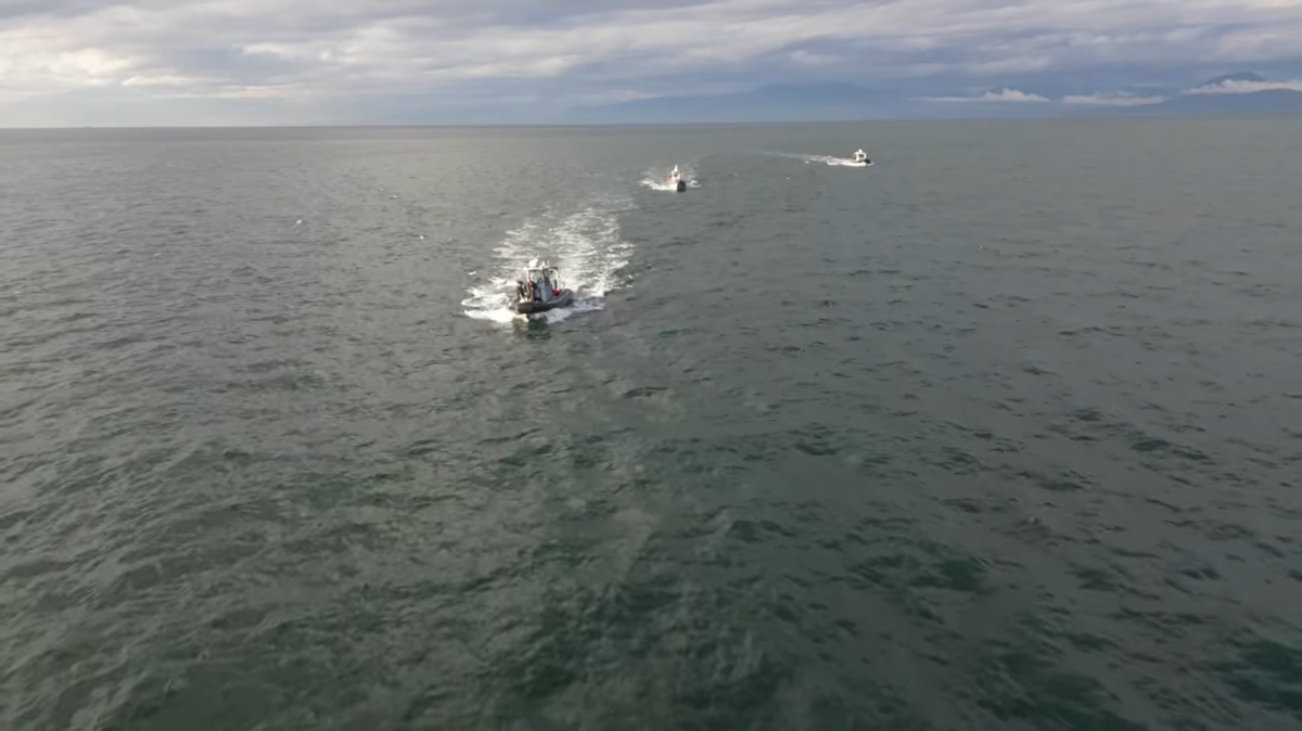 Trainees in the “right place at the right time” helped free a humpback whale tangled with “over 450 feet of rope,” Canadian officials said.