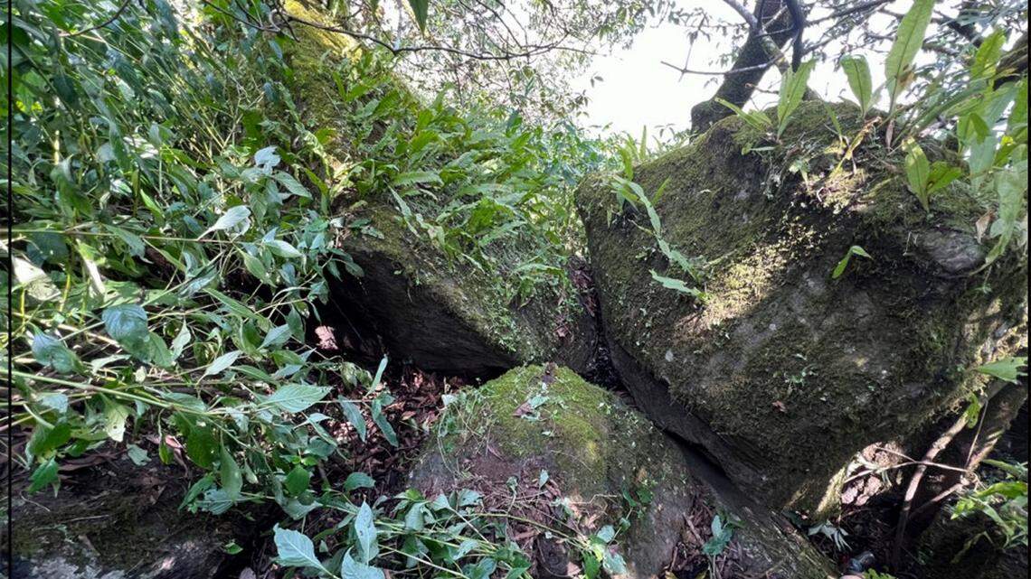 Scientists found a “slender” animal living in caves of the Maharashtra mountains and discovered a new species, a study said.