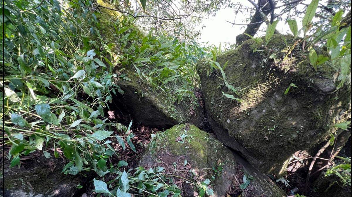 Scientists found a “slender” animal living in caves of the Maharashtra mountains and discovered a new species, a study said.