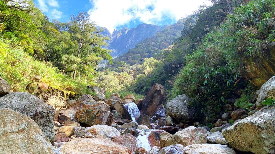 Scientists found tadpoles and a juvenile toad and rediscovered a species feared extinct after an earthquake in Borneo, a study said.