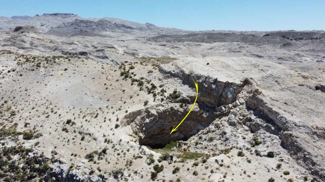 Scientists found a “long”-legged creature in a cave at the bottom of a sinkhole in Argentina and discovered a new species, a study said.