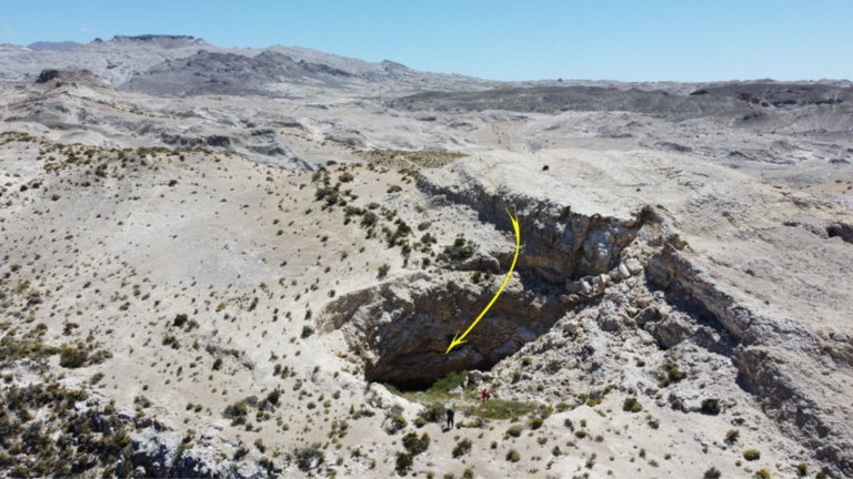 ‘Long’-legged cave creature found in sinkhole in Argentina. It’s a new species