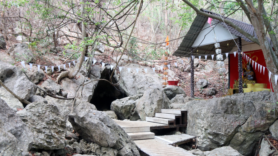 Scientists found a “large” creature with “long” limbs in a cave of Sa Kaeo Province and discovered a new species, a study said.