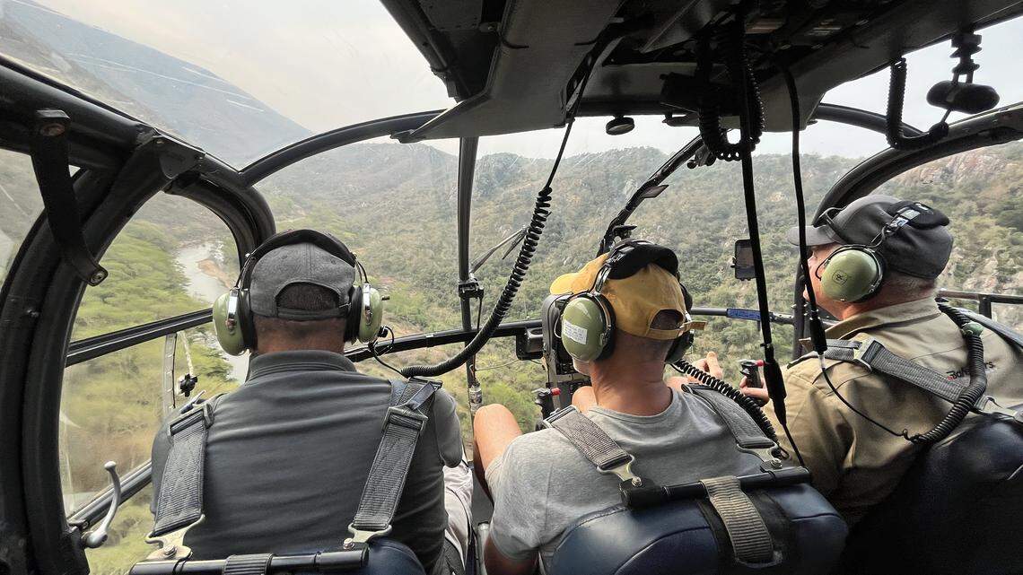 A helicopter survey in KwaZulu-Natal, South Africa, found the region’s first sighting of a critically endangered species, photos show.