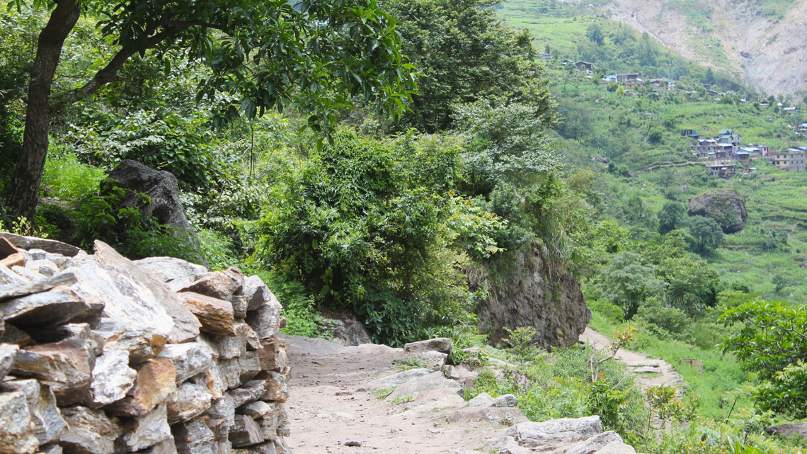 The trail where Cyrtodactylus karanshahi, or Karan’s bent-toed geckos, were found.