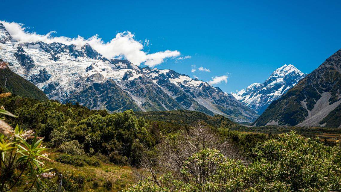 Until now, experts believed all little spotted kiwi were accounted for in fenced predator-free sites on offshore islands.