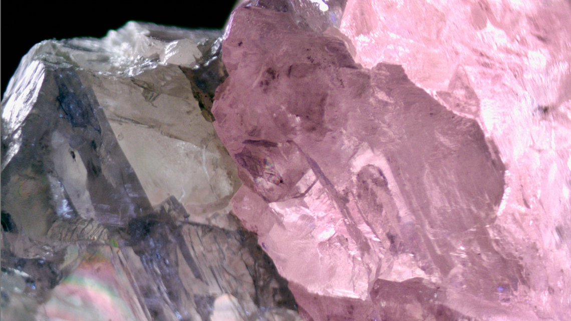 A highly magnified photo shows the “sharp” distinction between the diamond’s pink and colorless sections, experts said.