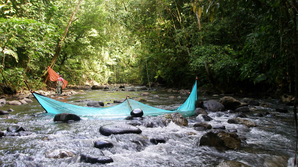 Formosaneleotris hualienensi, or the Tetepare noodlefish, has now been recorded in Taiwan and Tetepare Island, according to a study.