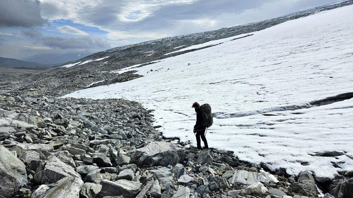 Archaeologists followed a tip from a Breheimen National Park ranger and found a 1,500-year-old stick used in reindeer hunts, photos show.