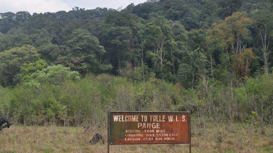 Scientists found a “large”-headed creature in a campground water tank of Arunachal Pradesh and discovered a new species, a study said.