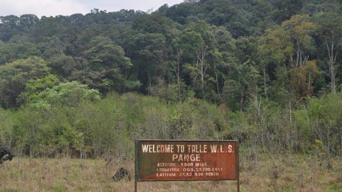 Scientists found a “large”-headed creature in a campground water tank of Arunachal Pradesh and discovered a new species, a study said.
