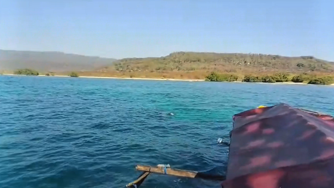 Boaters off Indonesia saw a baby dugong swimming and seemingly playing with two adult dugongs in a first-of-its-kind sighting for the area.