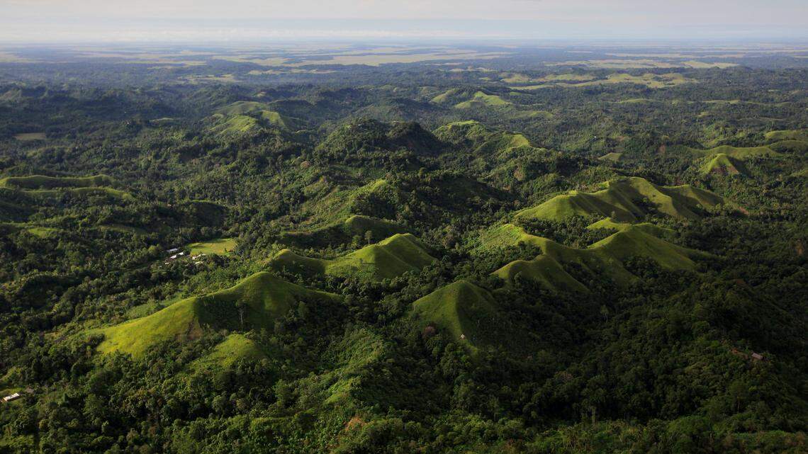 Scientists found a “giant” creature with “baggy” skin living near a forested village and discovered a new species, a study said.