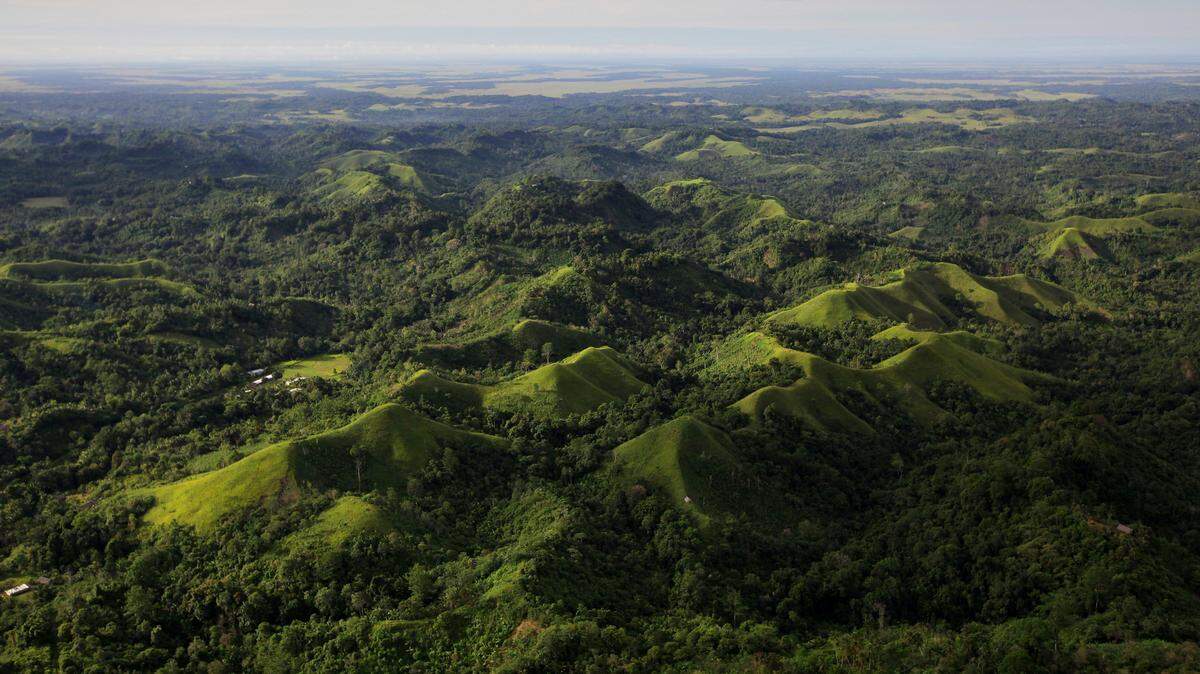 Scientists found a “giant” creature with “baggy” skin living near a forested village and discovered a new species, a study said.
