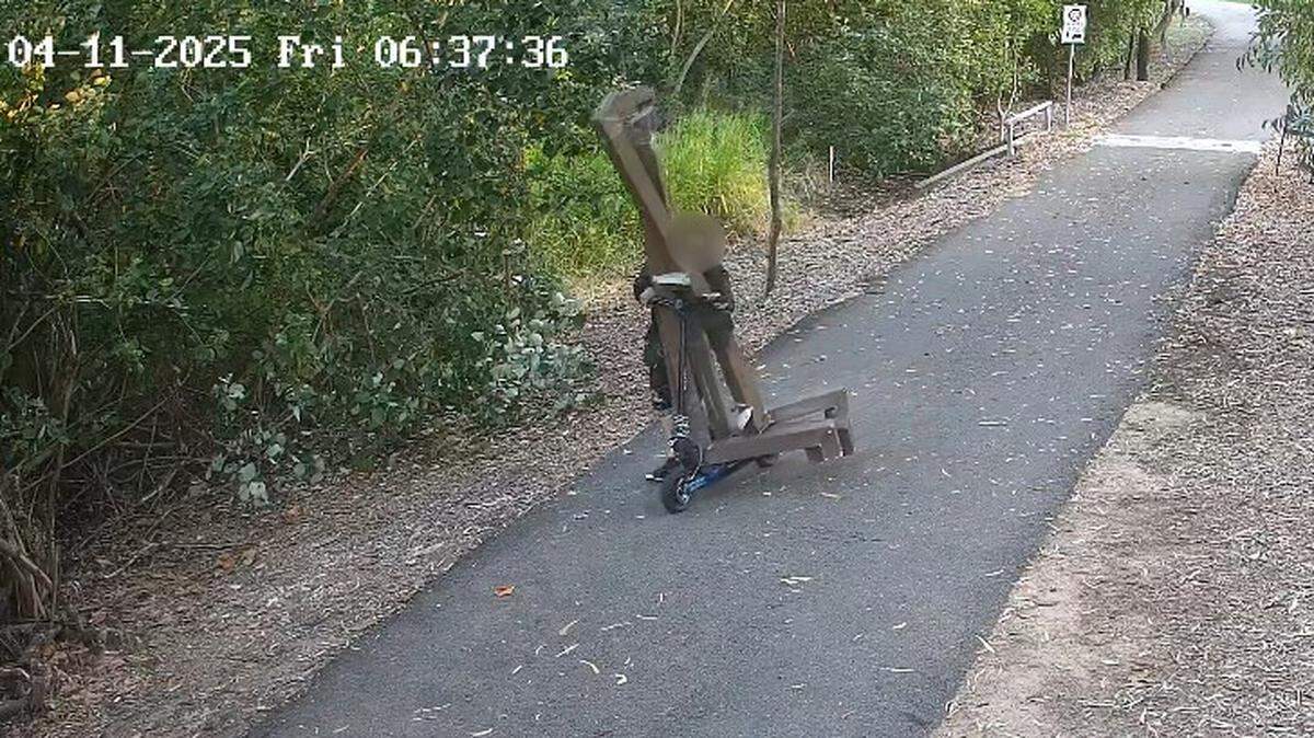 A man visited a protected park in Australia, stole the gutters from “heritage-listed buildings” and left via scooter and car, officials said.
