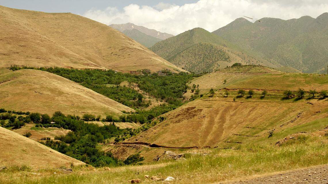 A hunter in the mountain of Iraq caught a black-tongued predator. Scientists identified it as a first-of-its-kind record, a study said.