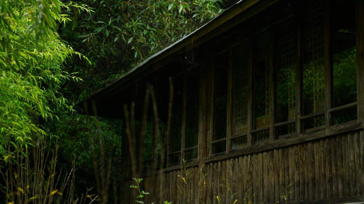 Scientists found a “large” forest creature with “long” limbs at an abandoned house in Yunnan and discovered a new species, a study said.