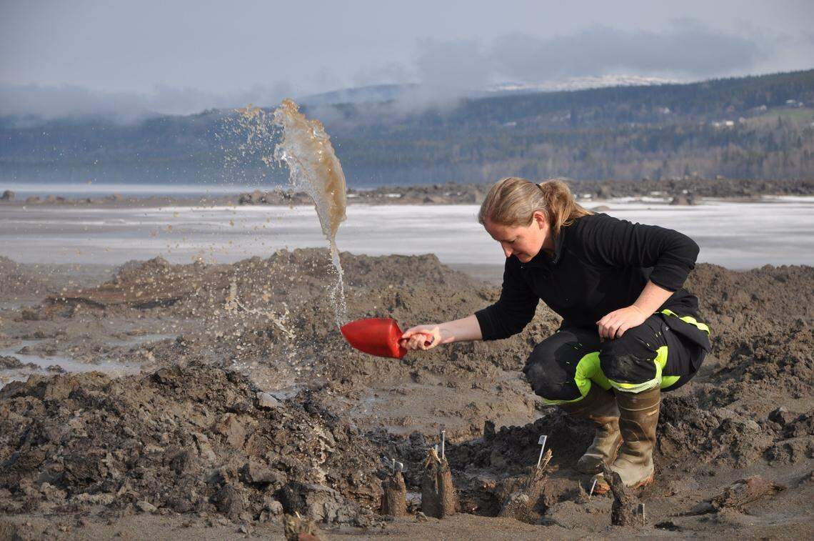 An archaeologist excavates the fishing trap in Nord Mesna in 2021.