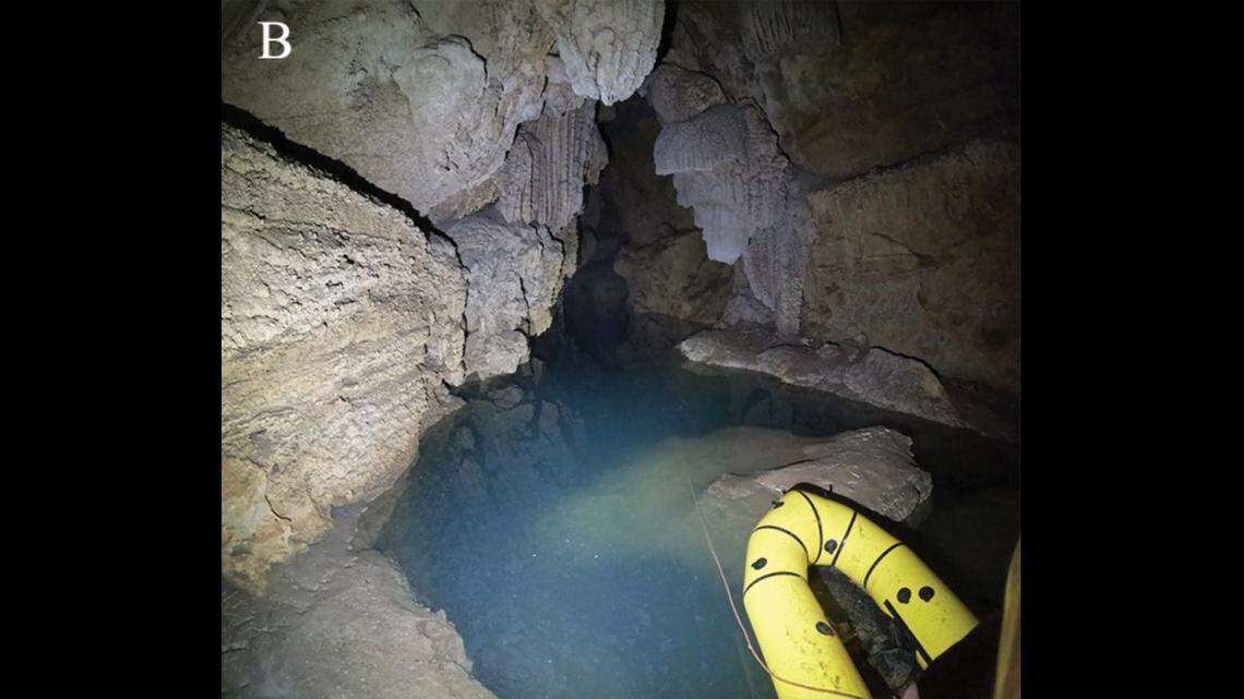 Scientists found an eyeless river creature with a “visible” skull in a cave of southern China and discovered a new species.