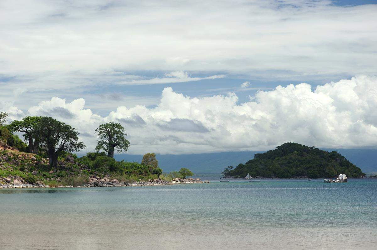 Scuba divers found some “large”-eyed lake creatures off the coast of Malawi and discovered two new species, a study said and photos show.
