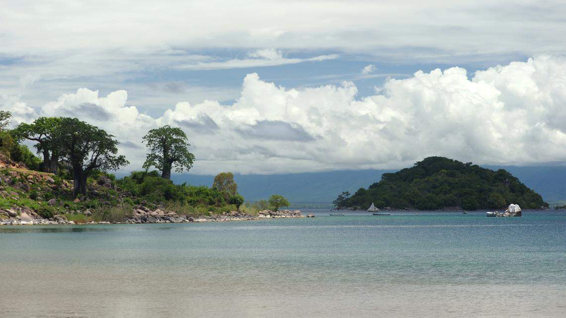 Scuba divers found some “large”-eyed lake creatures off the coast of Malawi and discovered two new species, a study said and photos show.