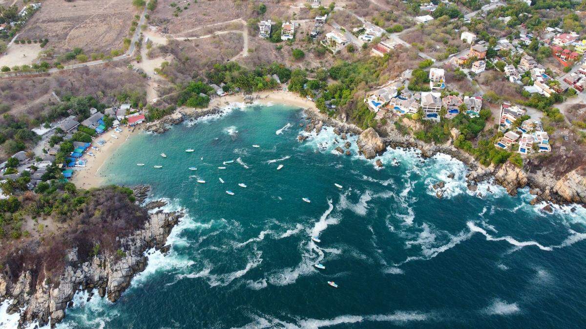 Scientists found a five-armed sea creature along the coast of Mexico and discovered a new species misidentified for 160 years, a study said.