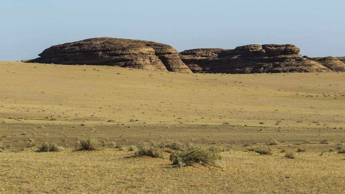 Scientists found a “secretive” red animal lurking in the mountains of Saudi Arabia and discovered a new species, a study said.