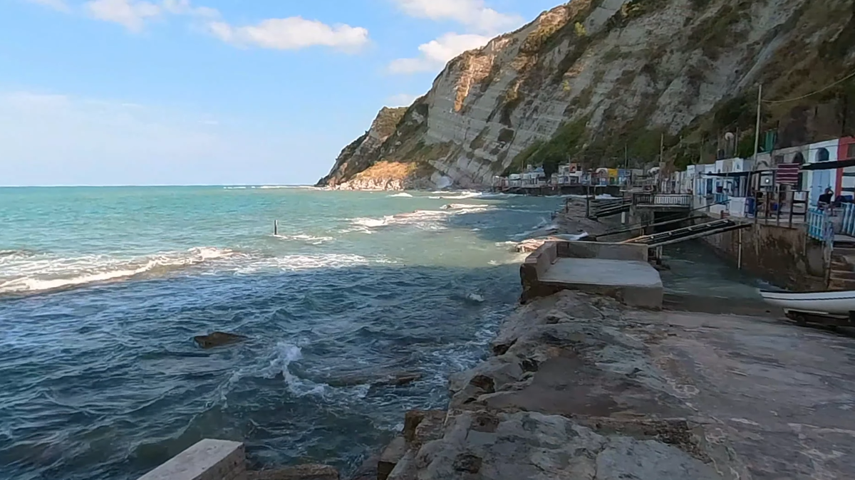 Scientists surveying tide pools in Italy found a “rare” sea creature in a first-of-its-kind sighting for the Adriatic Sea, photos show.