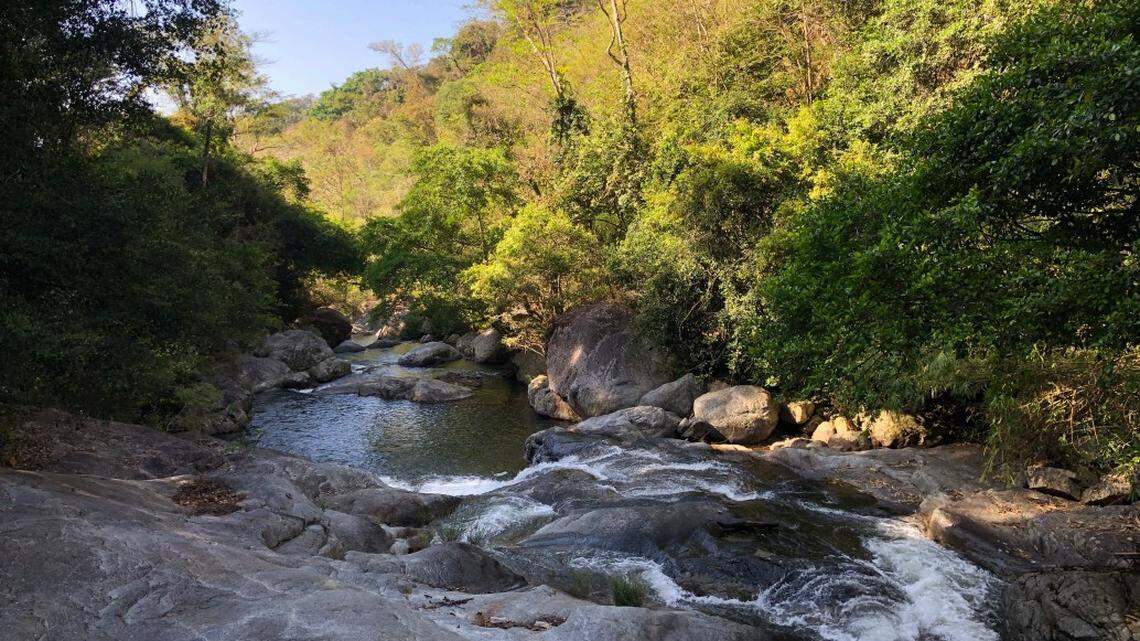 Scientists found a 2-foot-long creature with yellow eyes and blue lips in a forest of Vietnam and discovered a new species, a study said.