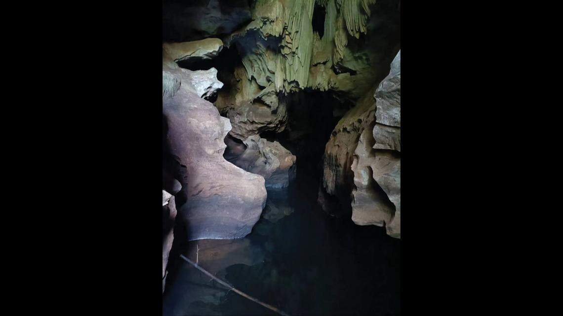 Scientists found some “large” creatures breeding in a polluted cave pool of Guangxi and discovered a new species, a study said.