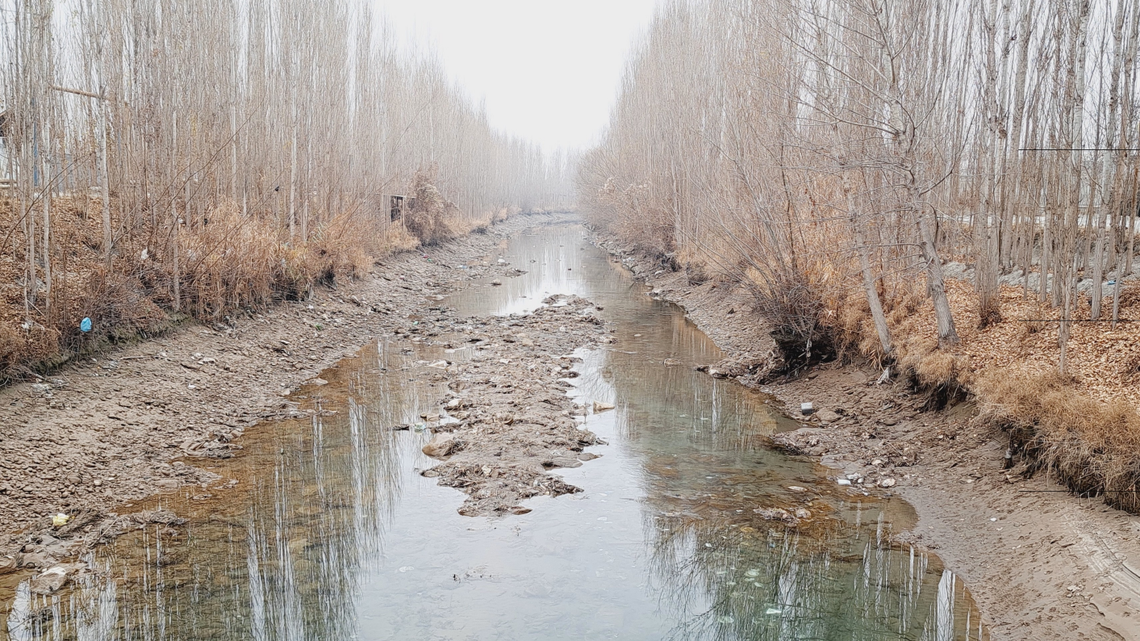 Scientists found a blotchy creature with “thick” lips at the bottom of the Great Fergana Canal and discovered a new species, a study said.