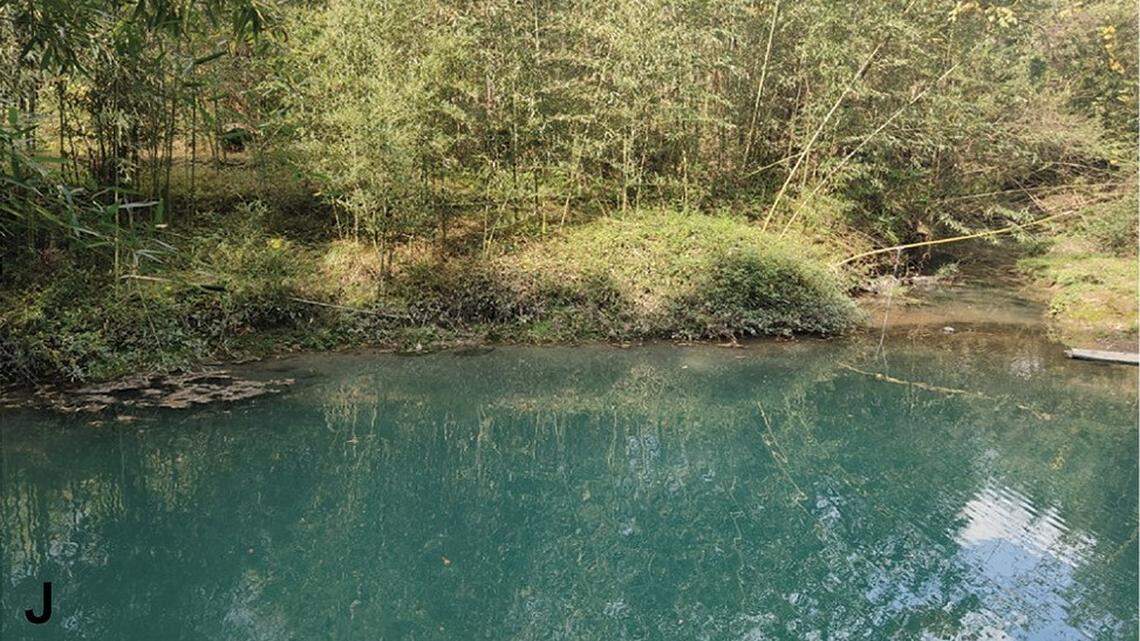 Scientists found a “large” creature with a “long” tail in a deep-water pond in China and discovered a new species, a study said.