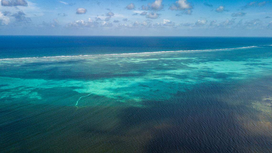 Scientists and anglers caught an aquatic predator with a “shovel-shaped” head and discovered a new species, a study said.