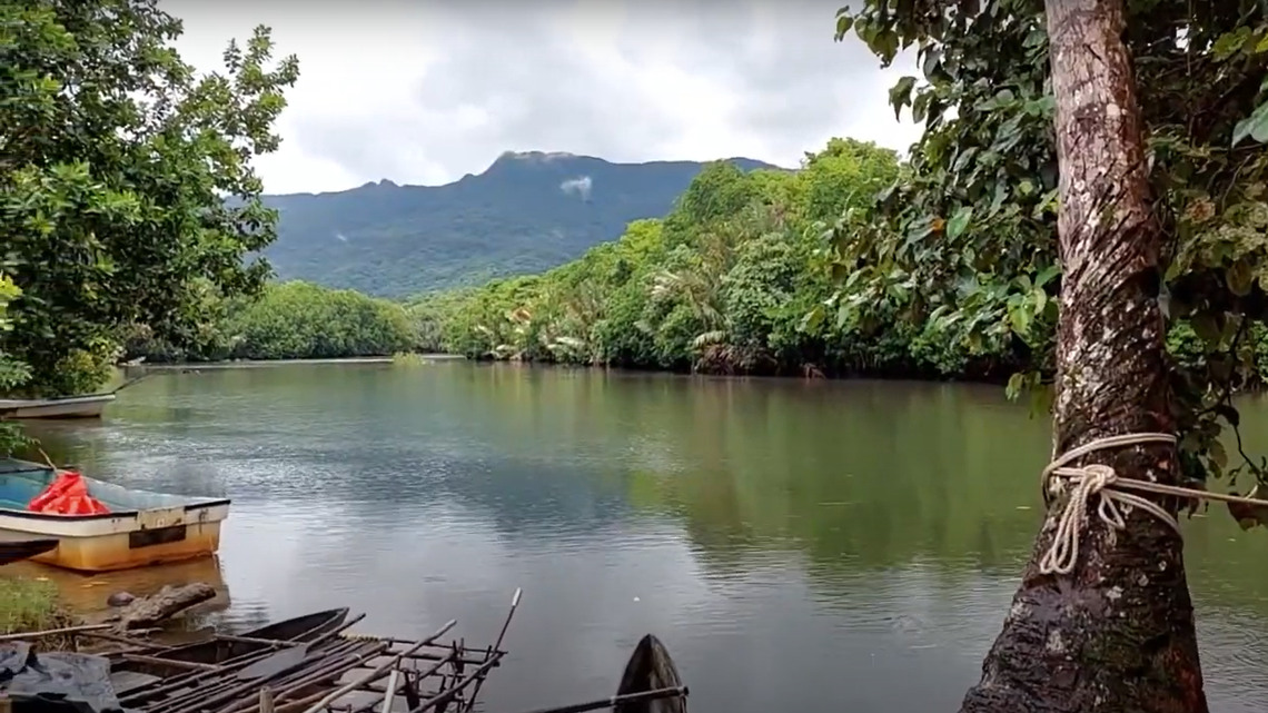 Scientists found a 4-foot-long creature with a “net”-like pattern in an abandoned village of Papua New Guinea and discovered a new species.
